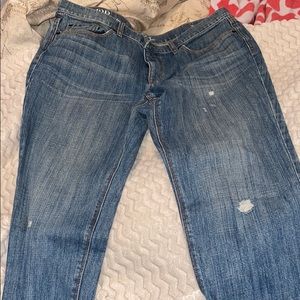 ANN TAYLOR’S LOFT Jeans